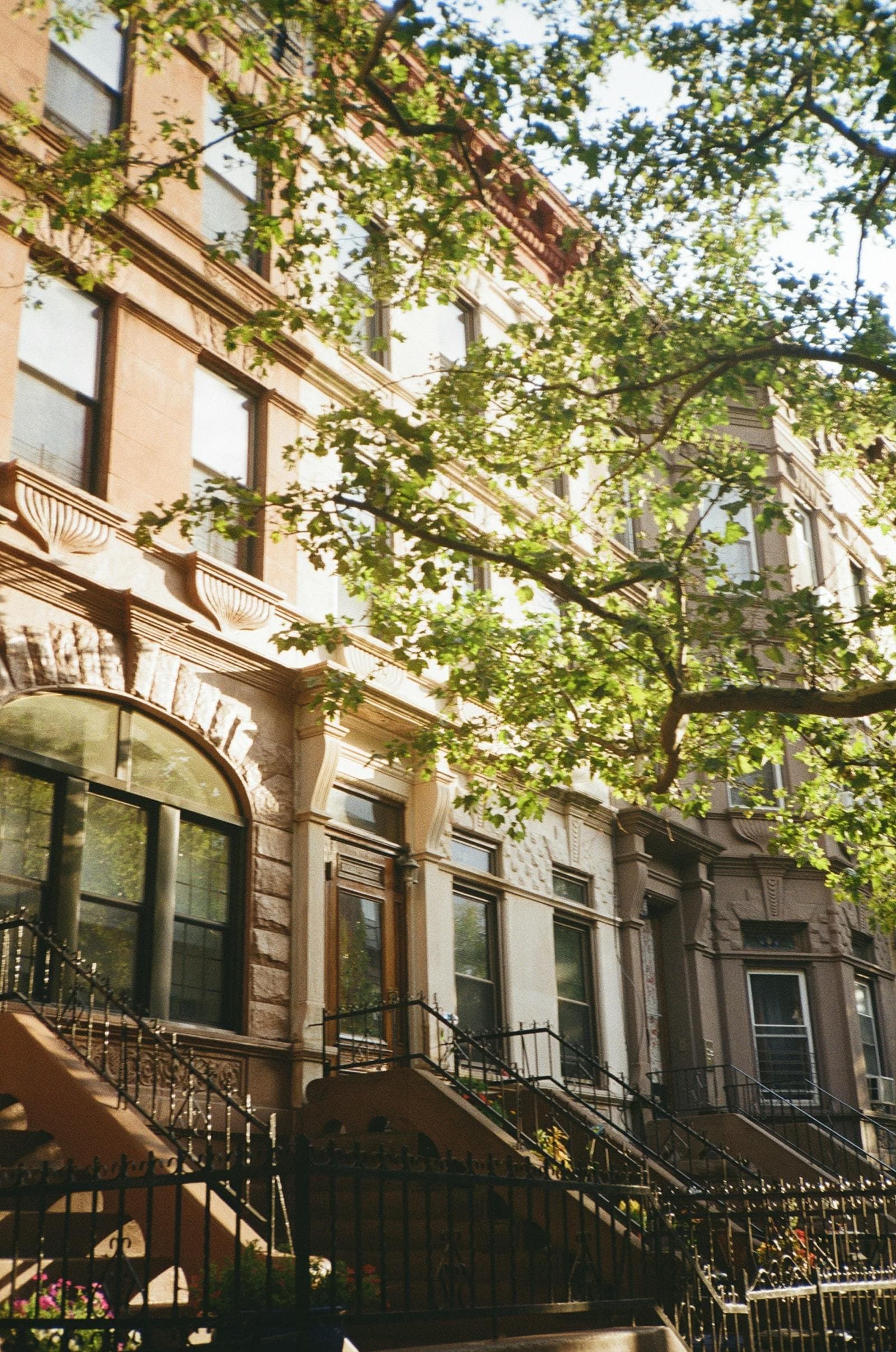 Classic brownstone apartment buildings on a tree-lined street