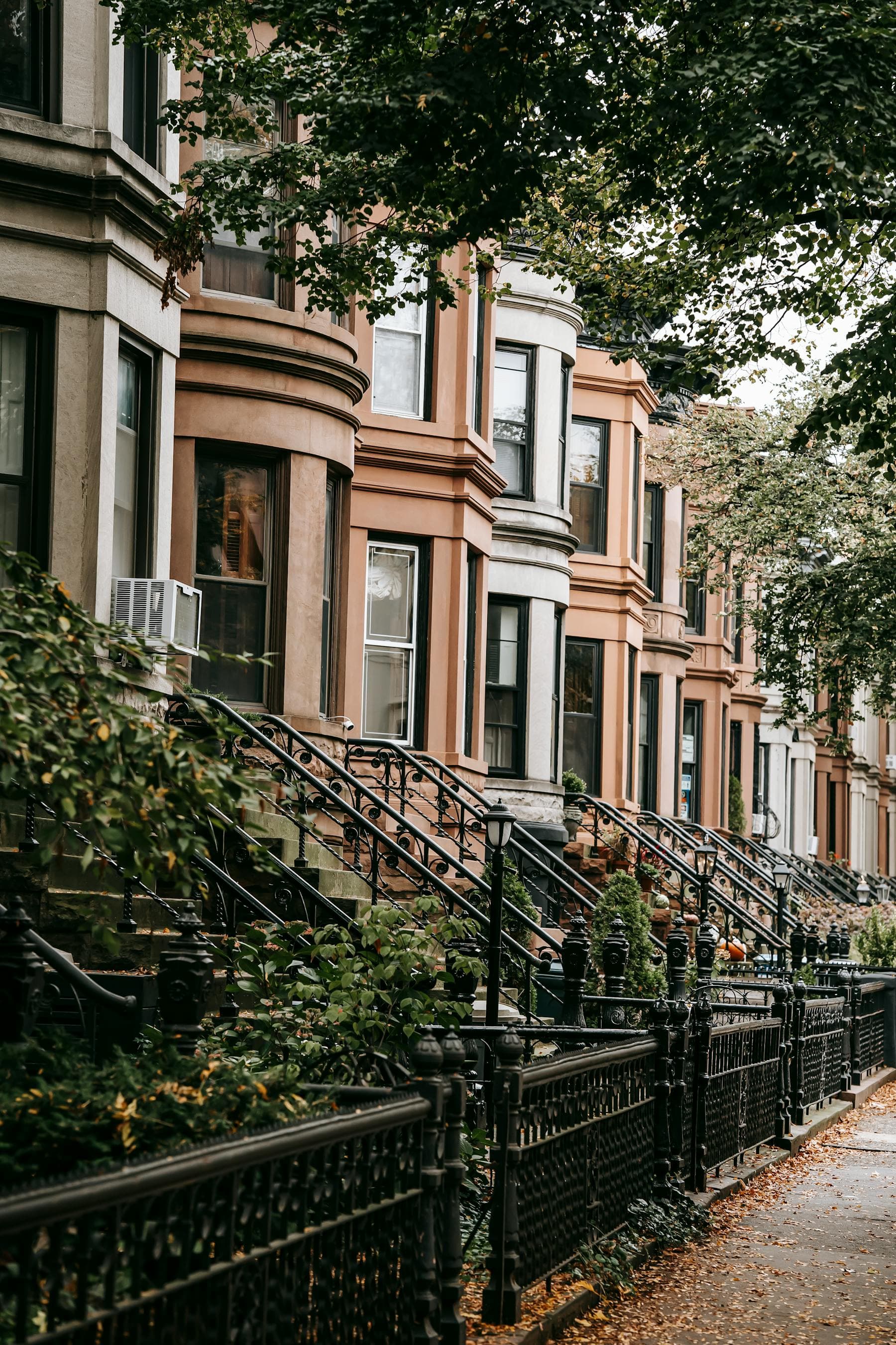 Classic brownstone row on a tree-lined street