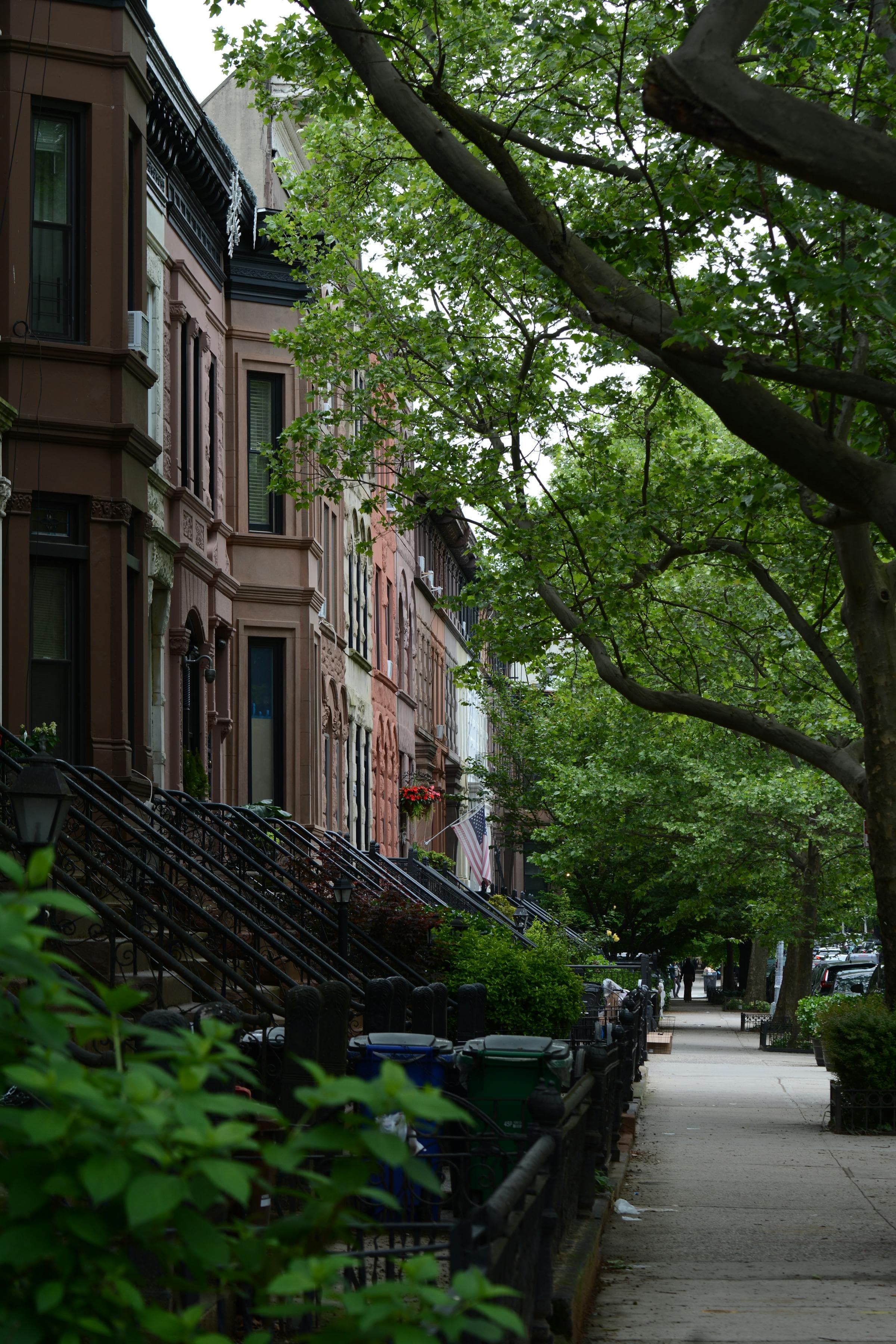 Tree-lined street with classic brick brownstone apartments